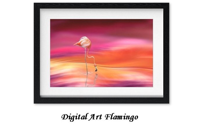 Digital Art Flamingo